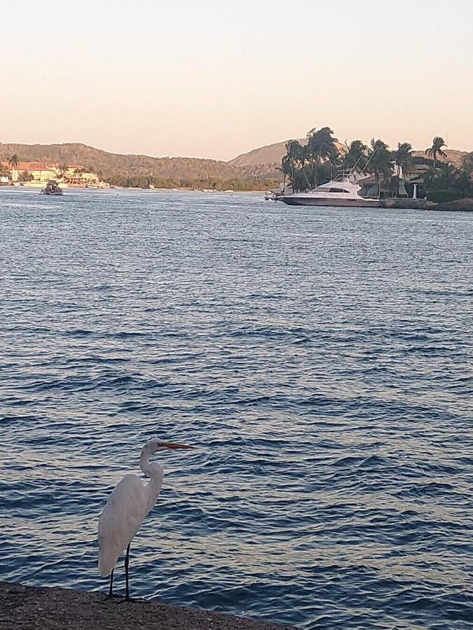 Condominio Κάμπο Φρίο Εξωτερικό φωτογραφία